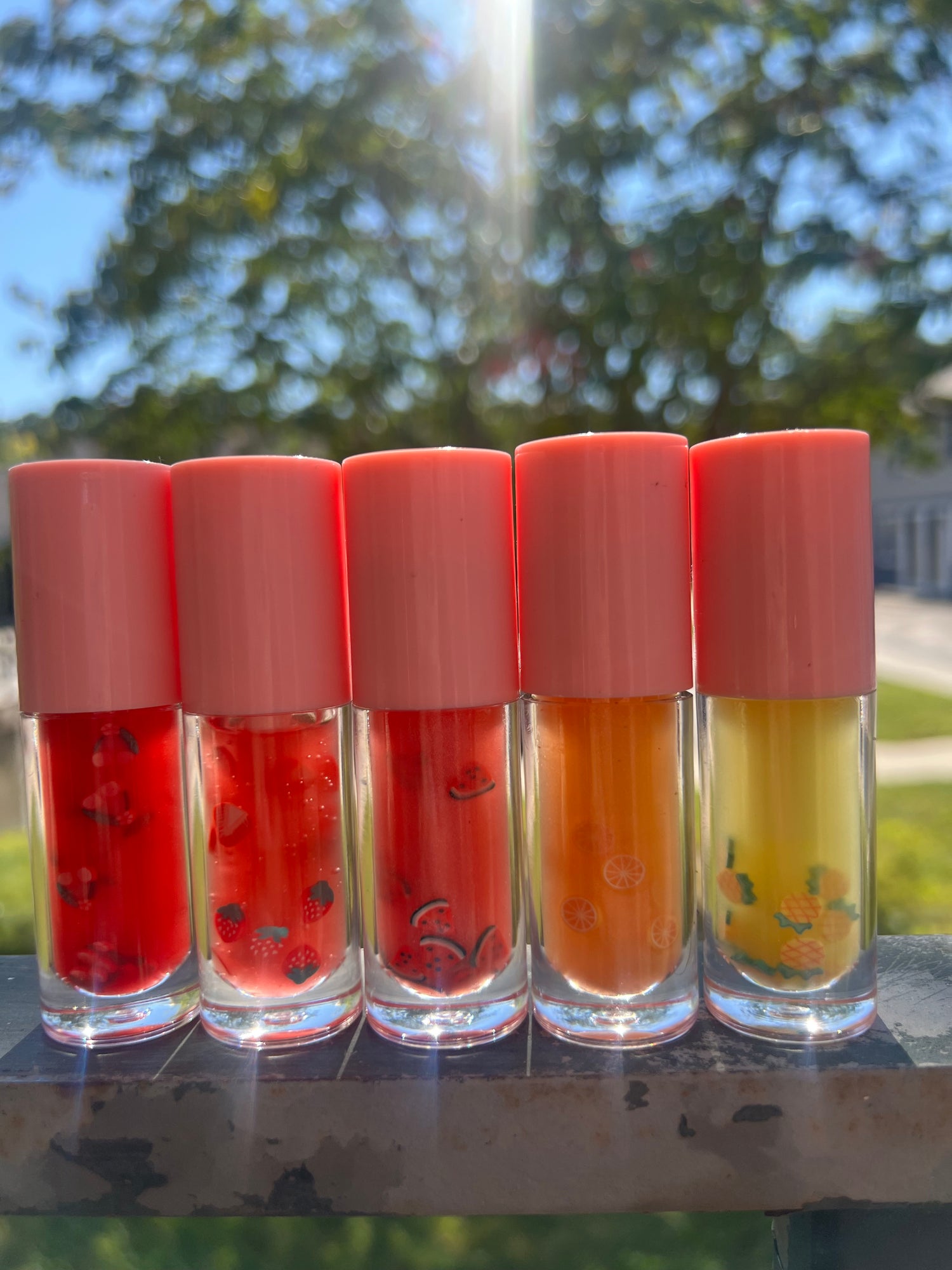 Fruit Flavor Glosses 🍒🍓🍉🍍🥭